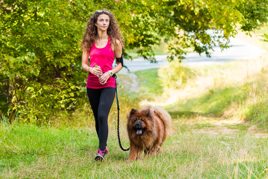 3 Outdoor activities you can do with your dog