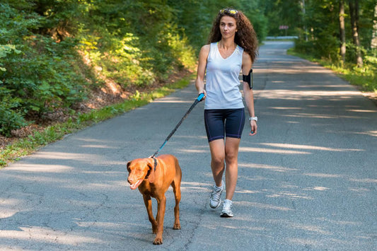 5 Reasons why you should walk your dog daily