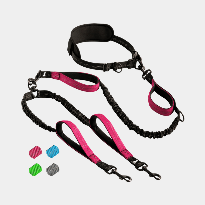 Hands Free Double Dog Leash