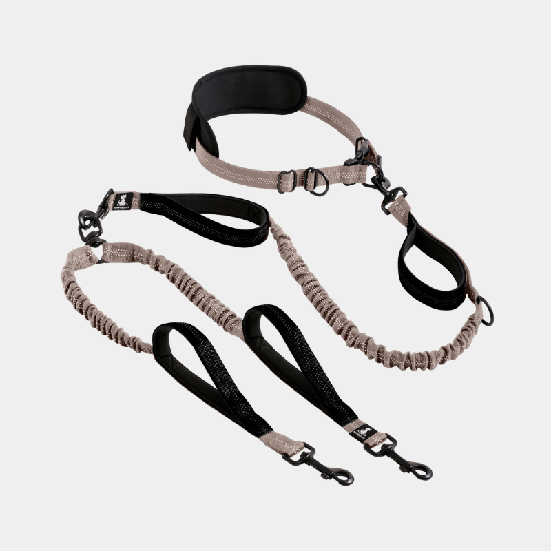 Hands Free Double Dog Leash