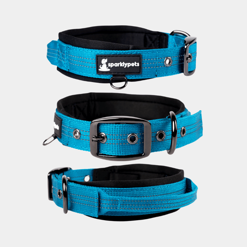 Heavy Duty Dog Collar with Handle