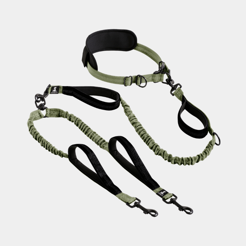 Hands Free Double Dog Leash