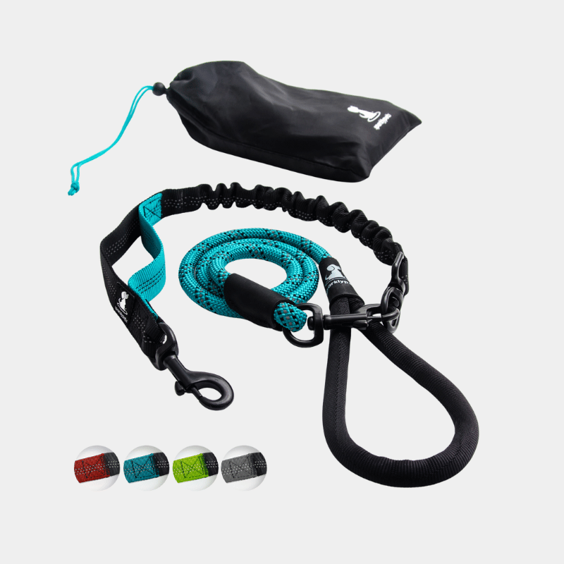 Rope Leash with Extension Bungee
