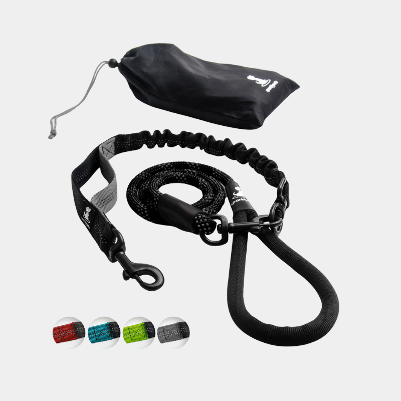 Rope Leash with Extension Bungee