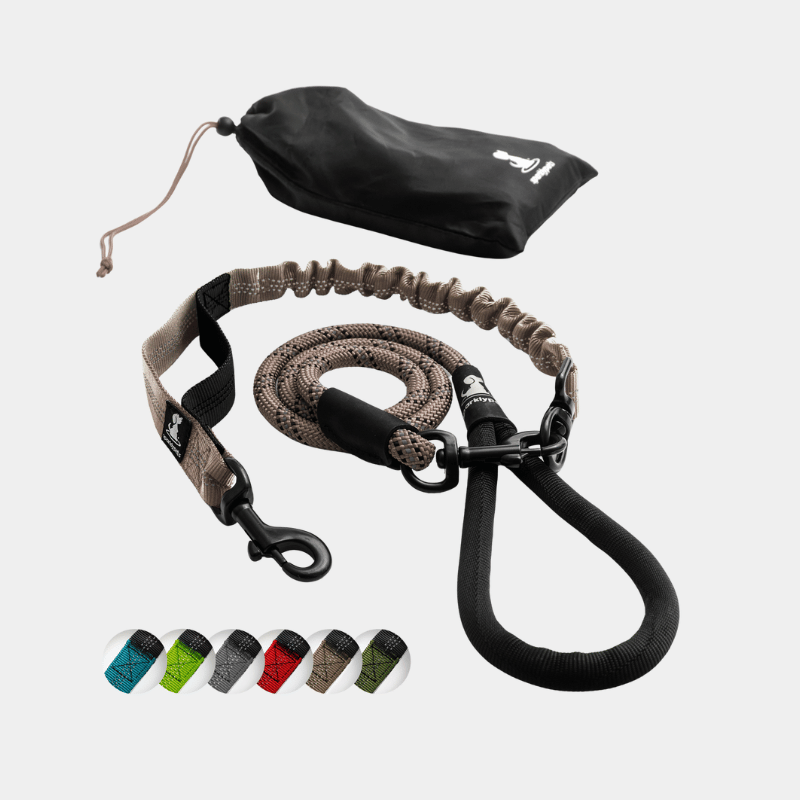 Rope Leash with Extension Bungee