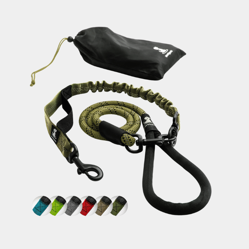 Rope Leash with Extension Bungee