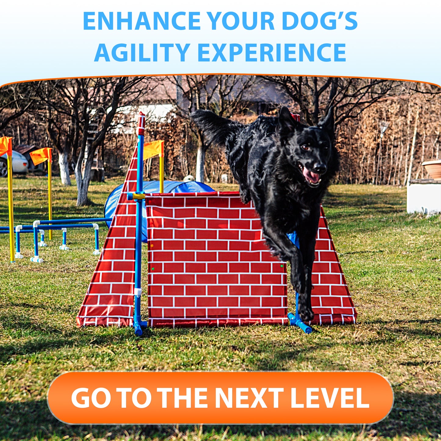 The SparklyPets Premium Dog Agility Equipment Set