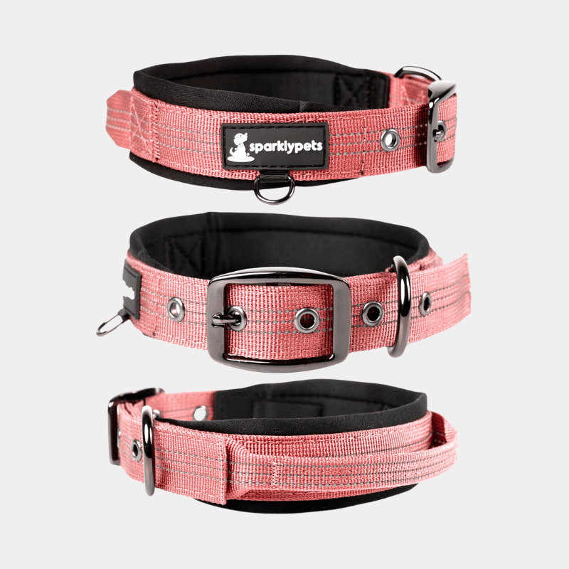 Heavy Duty Dog Collar with Handle