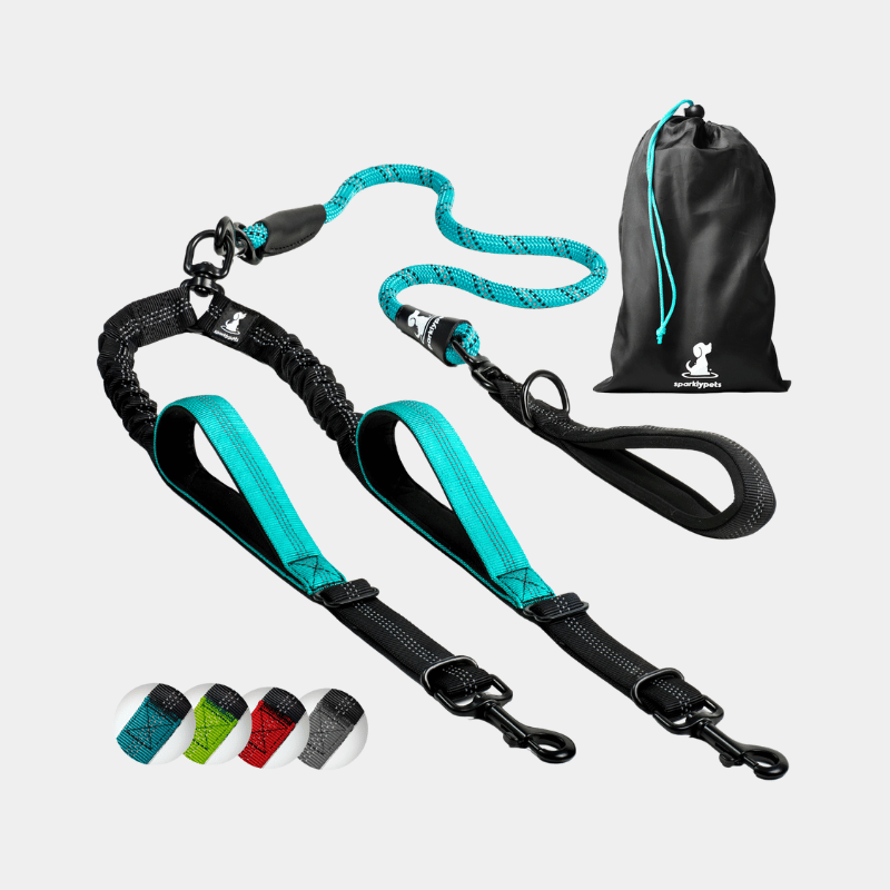 Best tandem dog leash clearance