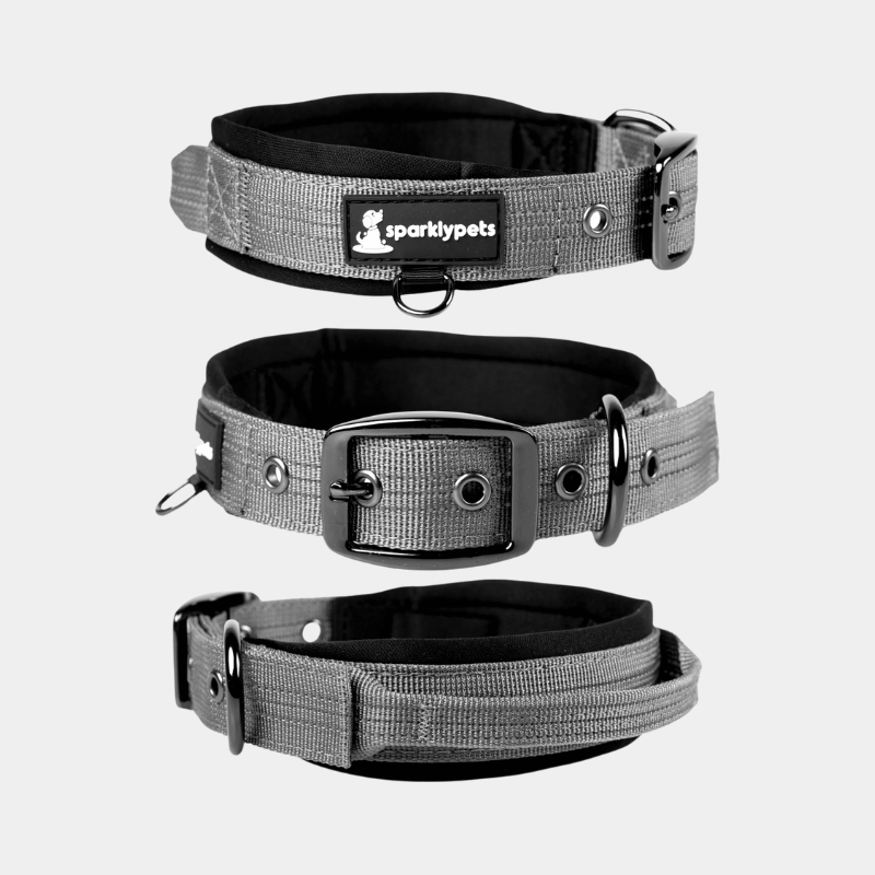 Heavy Duty Dog Collar with Handle