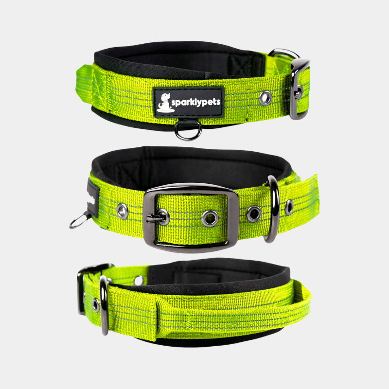 Heavy Duty Dog Collar with Handle