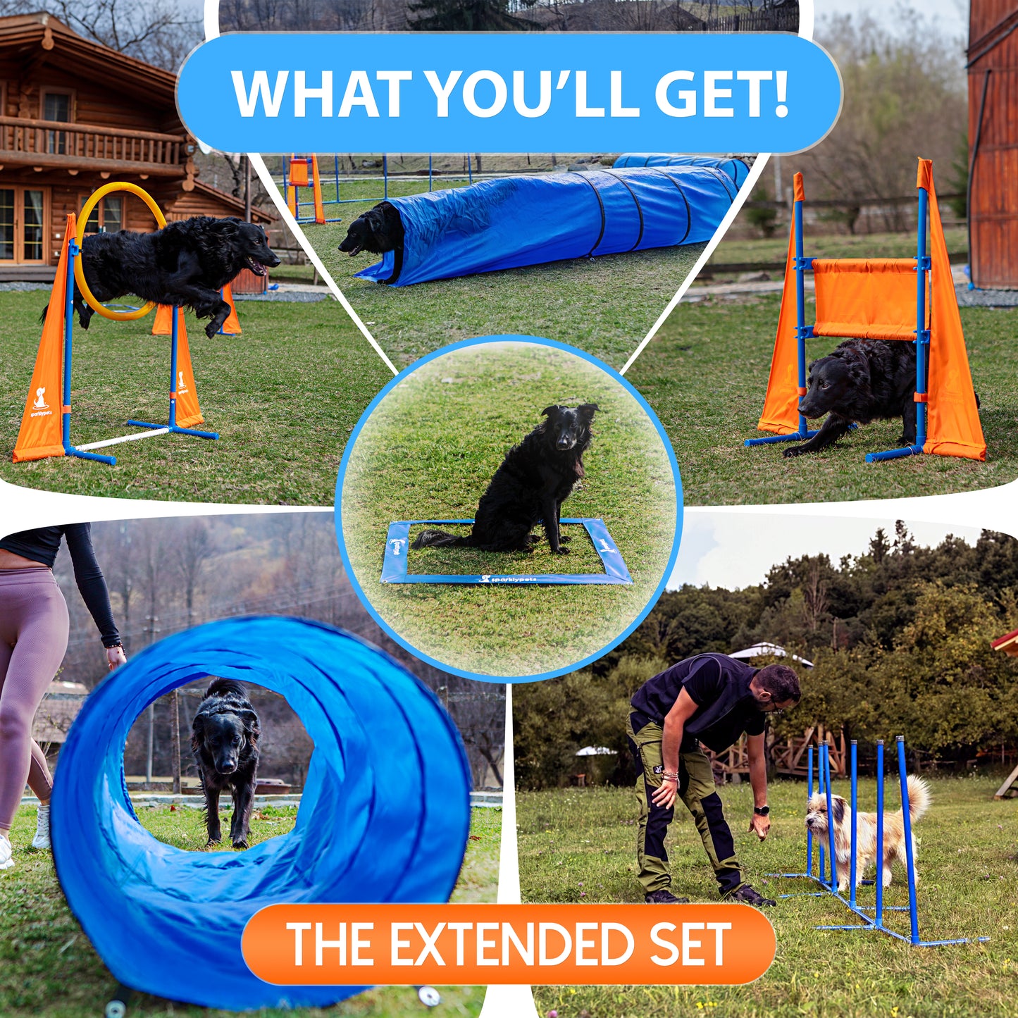 The SparklyPets Extended Dog Agility Equipment Set