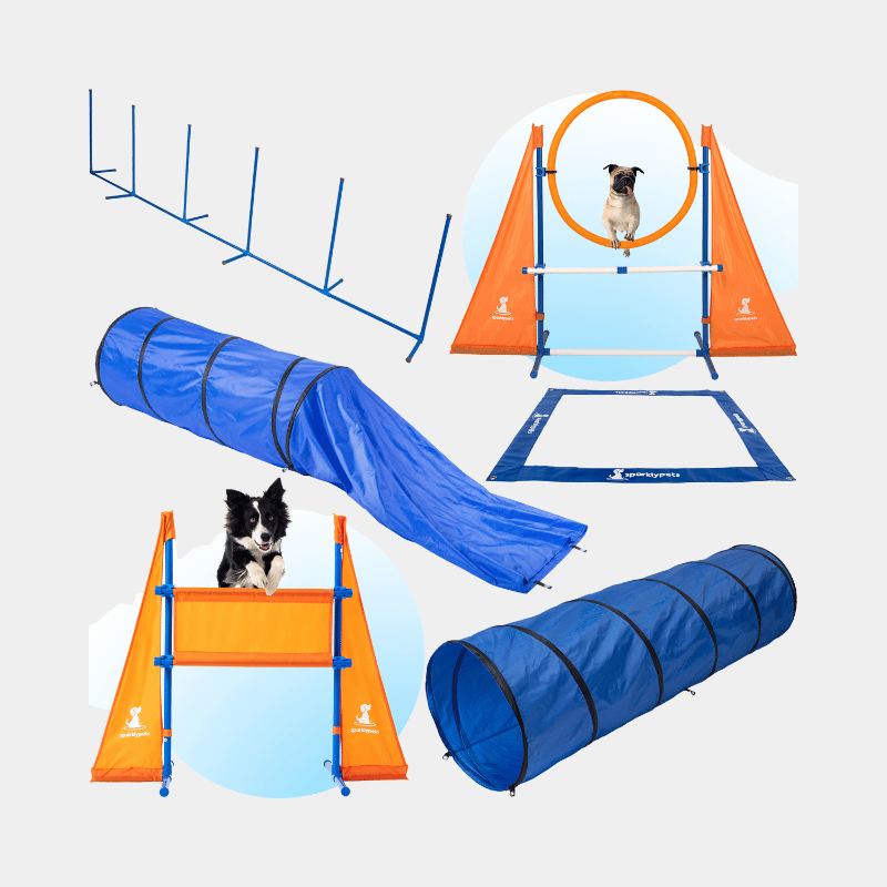 The SparklyPets Extended Dog Agility Equipment Set