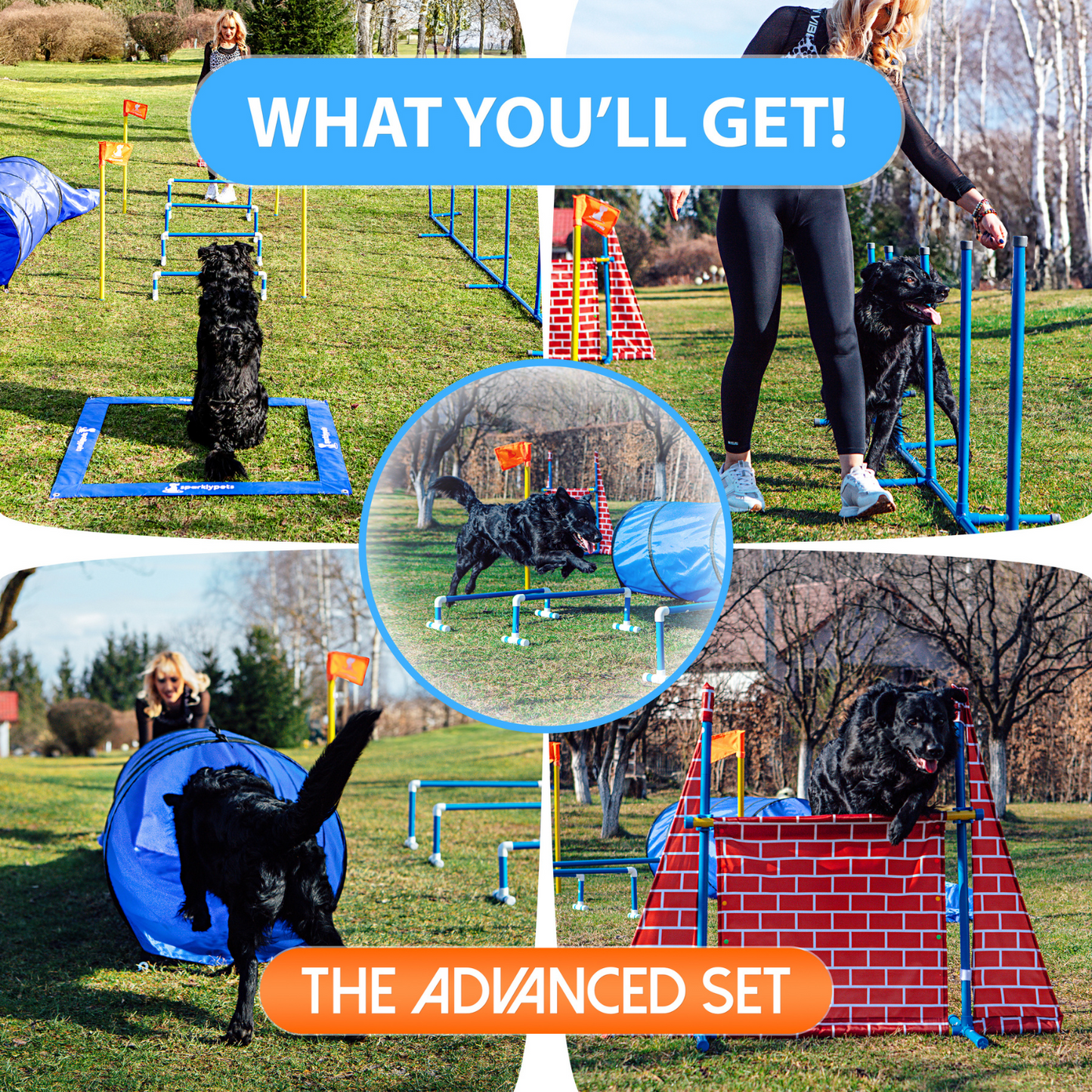 The SparklyPets Premium Dog Agility Equipment Set