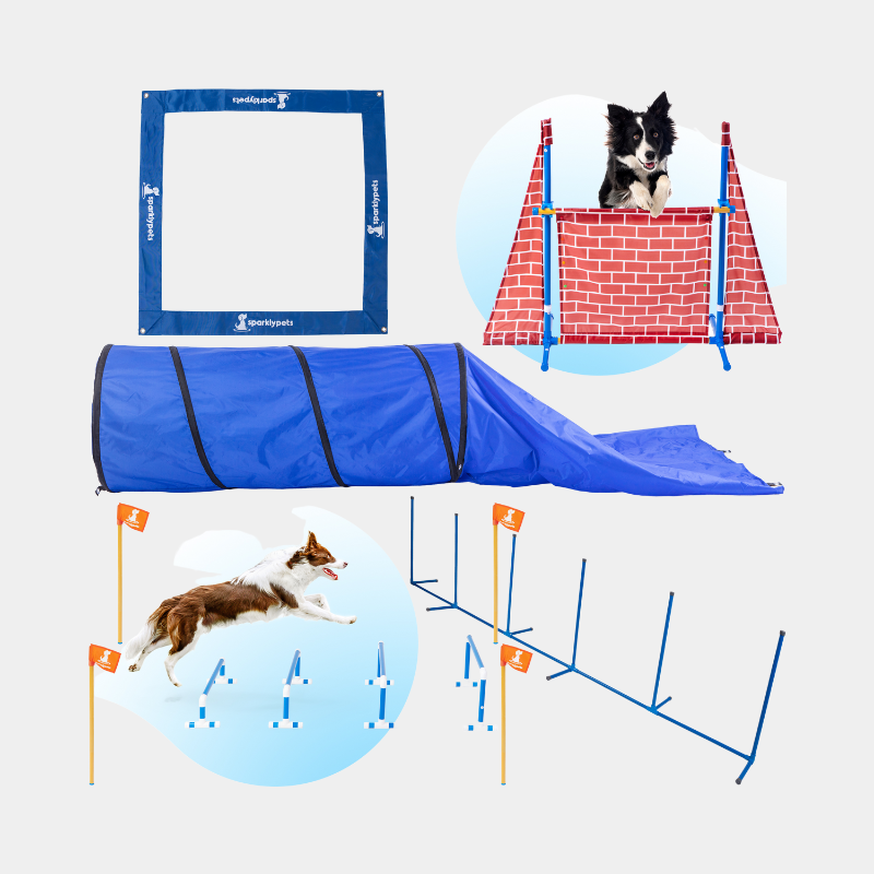 The SparklyPets Premium Dog Agility Equipment Set
