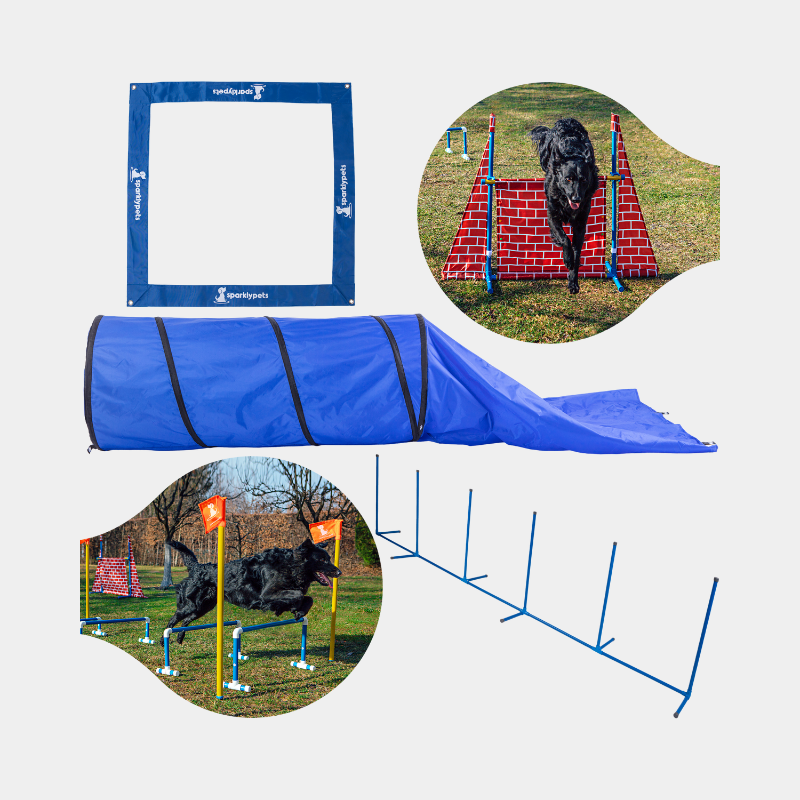 The SparklyPets Premium Dog Agility Equipment Set