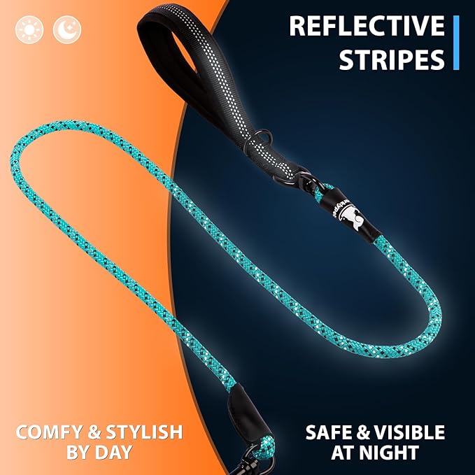 SparklyPets Double Dog Leash for 2 Dogs (Small)