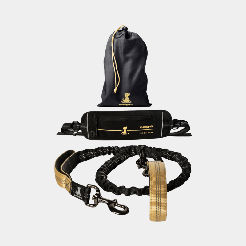 Special Edition Hands Free Leash