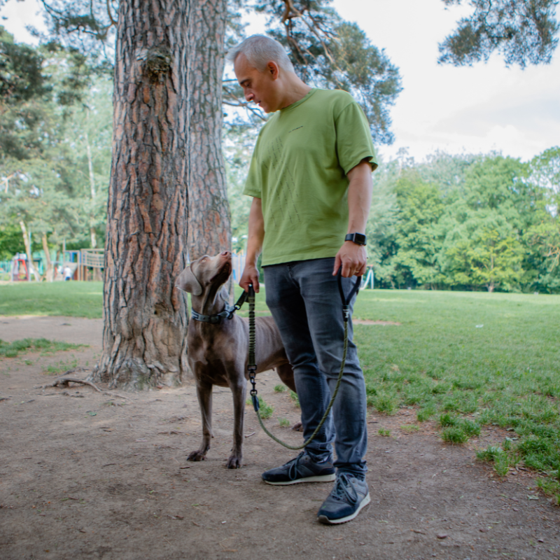 Rope Leash with Extension Bungee
