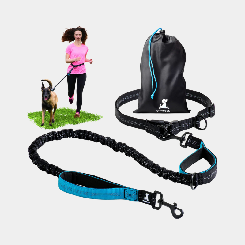 Hands Free Leash with Extra Security