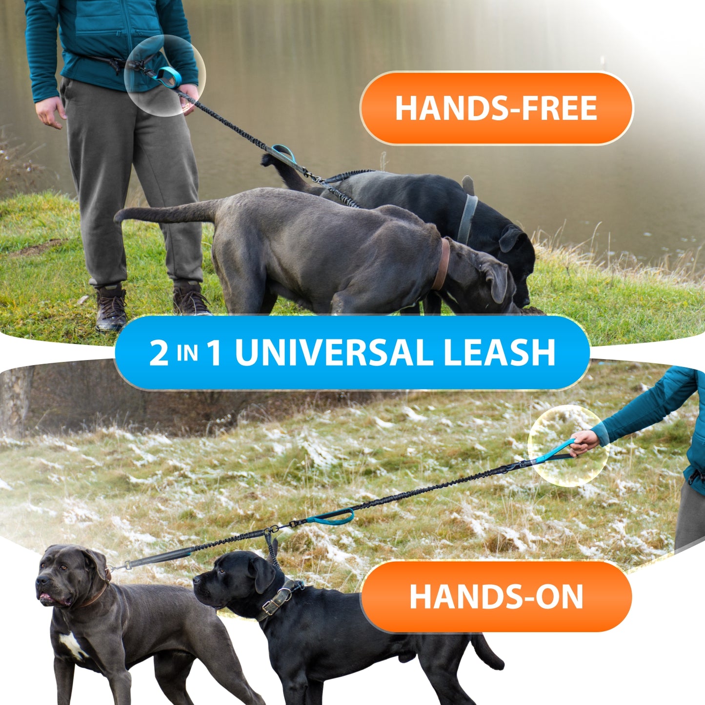 Hands Free Double Dog Leash