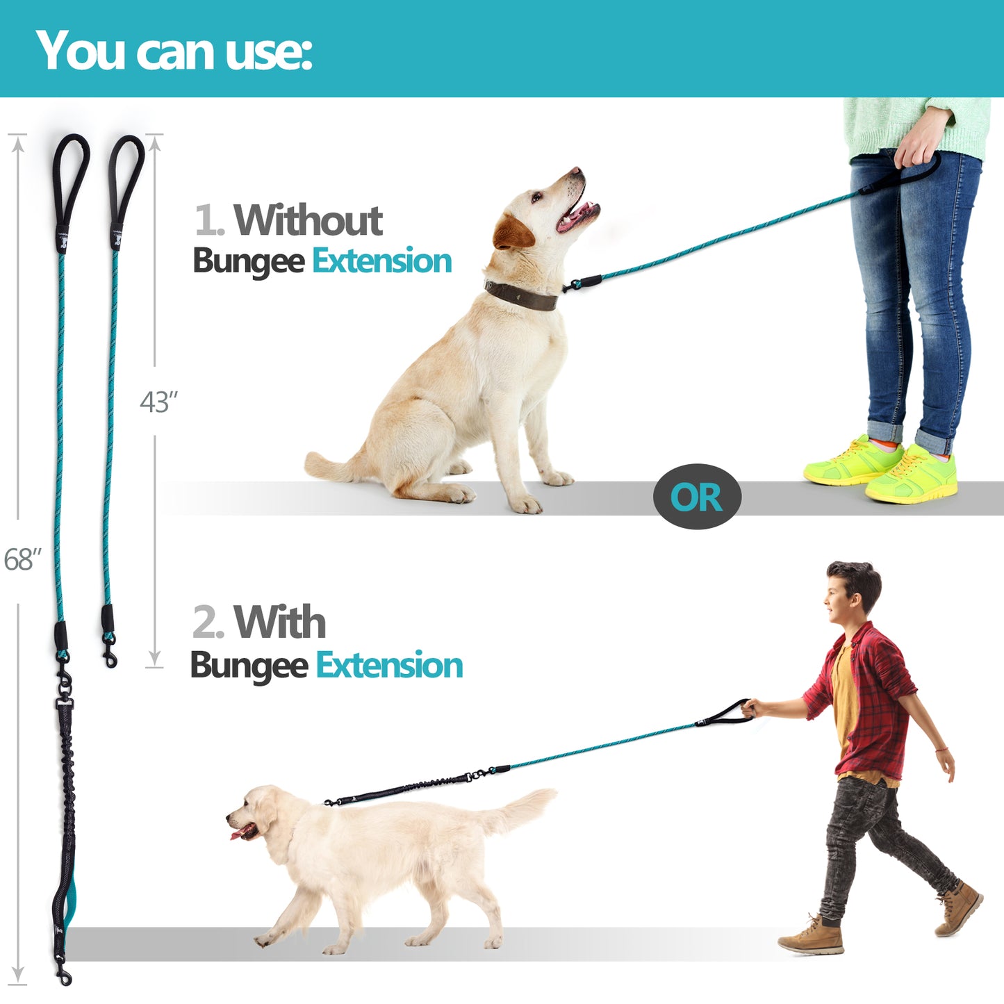 Rope Leash with Extension Bungee