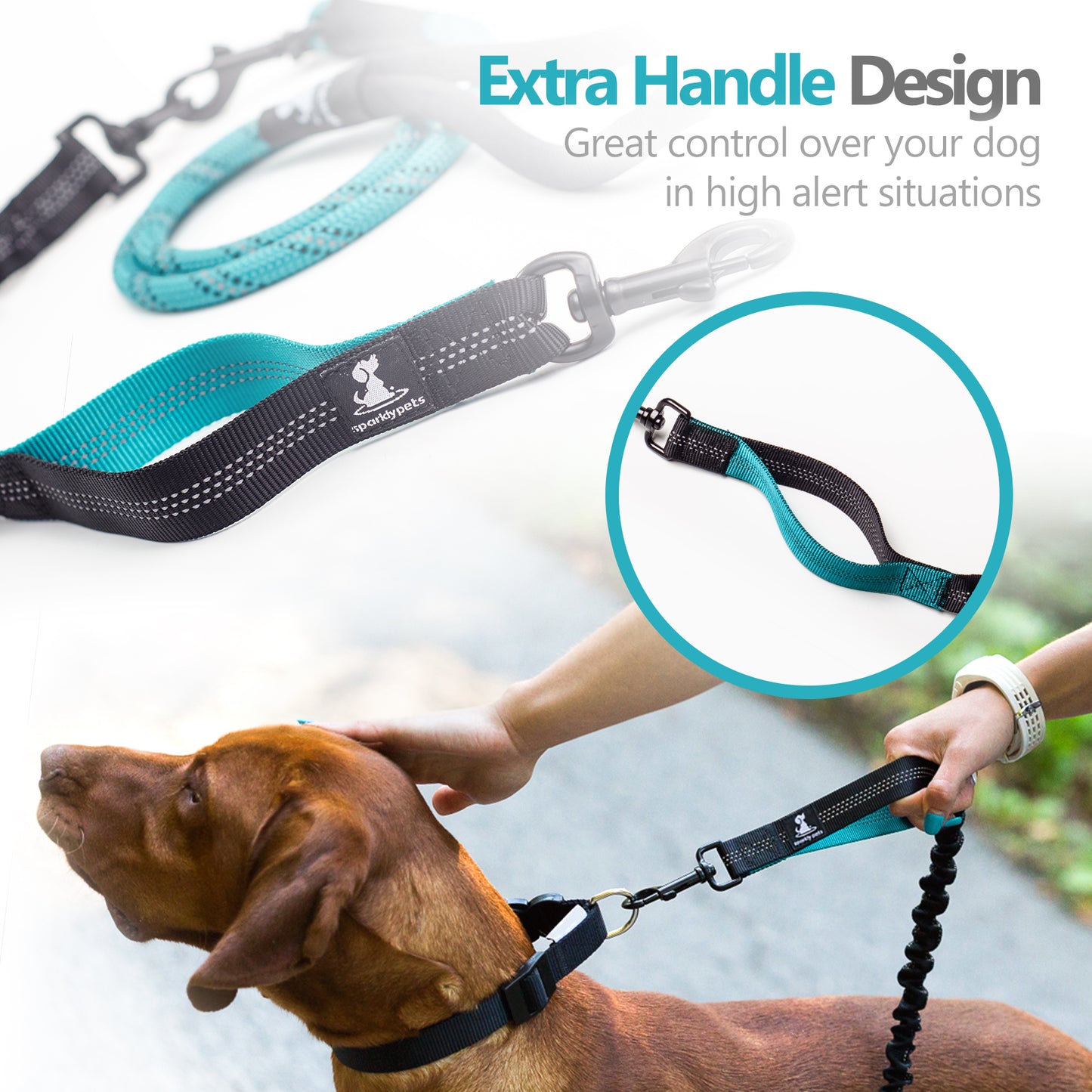 Rope Leash with Extension Bungee