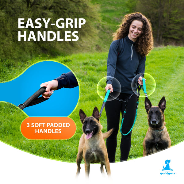 Dog leash for 2 store dogs