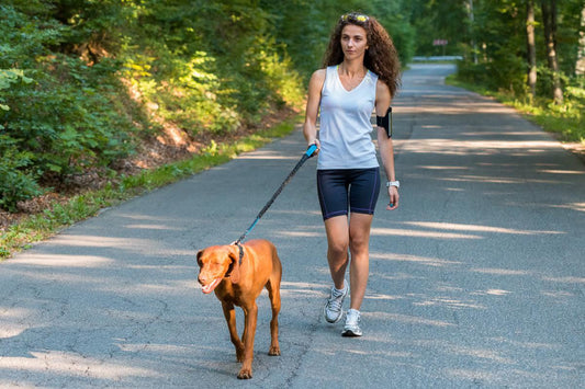 5 Reasons why you should walk your dog daily