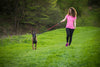 Why a bungee leash is the best for your dog walks.