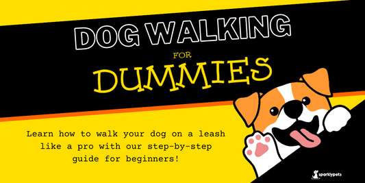 How to Walk a Dog on a Leash for Dummies