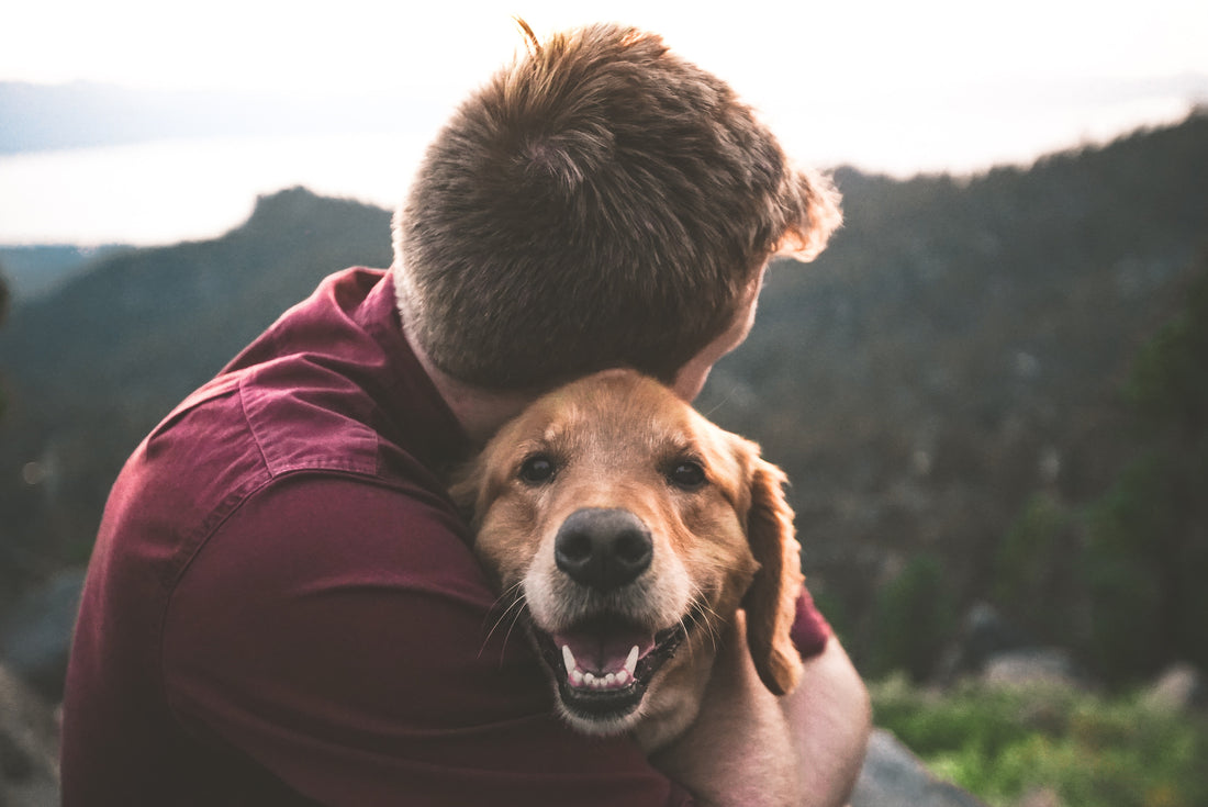Getting that special bond with your dog