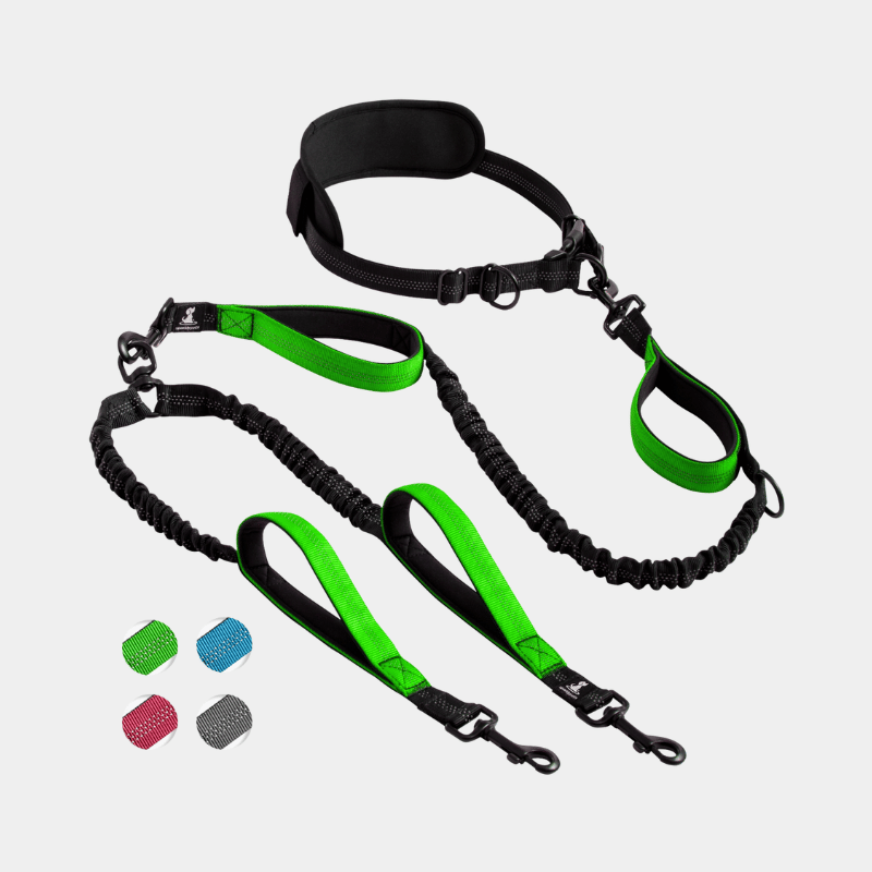Hands Free Double Dog Leash