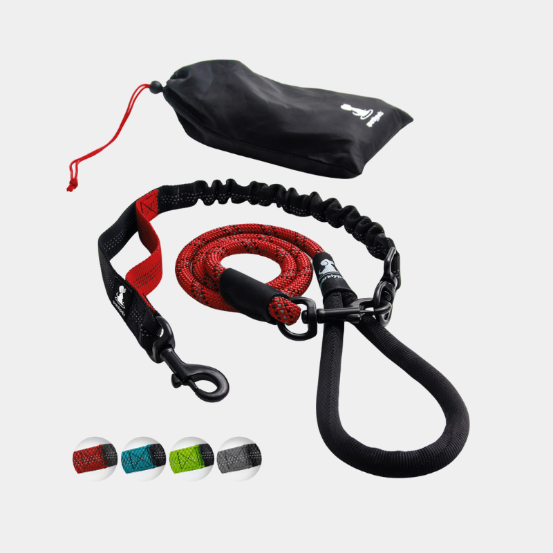 Rope Leash with Extension Bungee