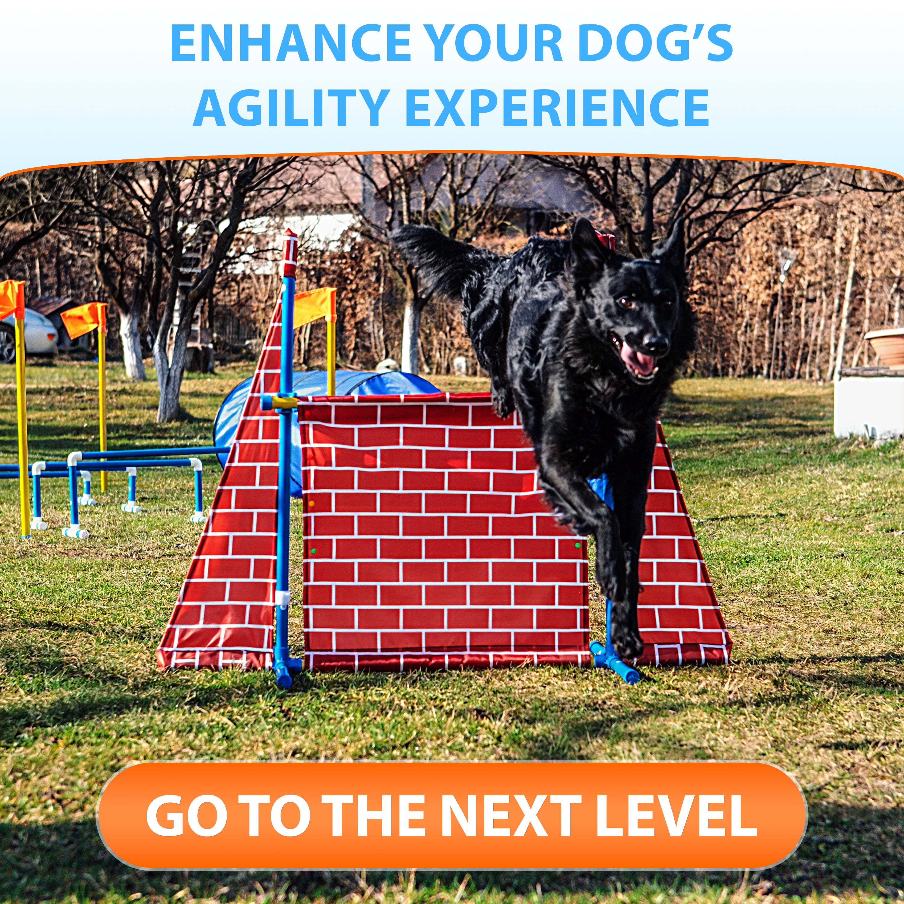 Second hand dog agility equipment fashion for