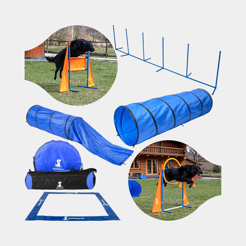 The SparklyPets Extended Dog Agility Equipment Set