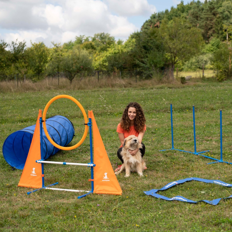 The SparklyPets Essential Dog Agility Equipment Set