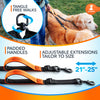SparklyPets Double Bungee Waist Dog Leash with Back Brace