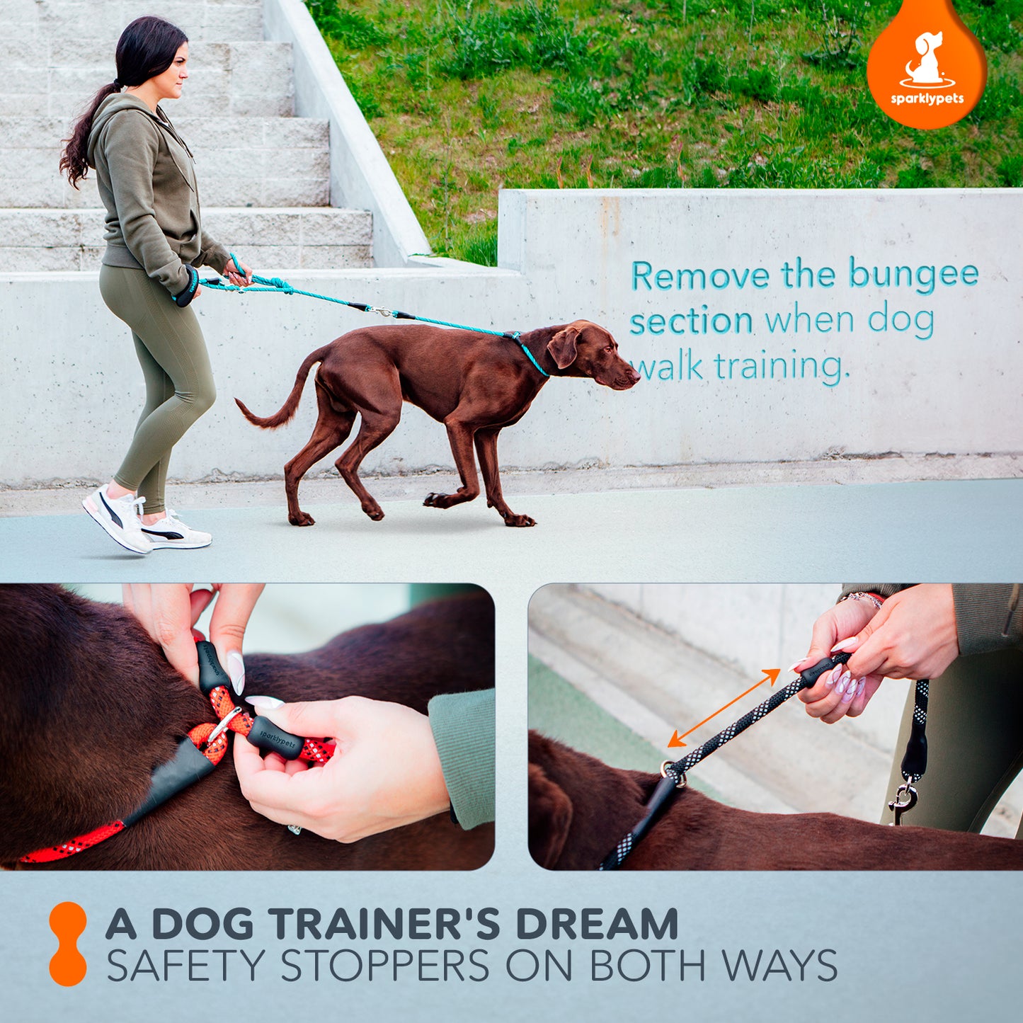Multifunction Rope Leash