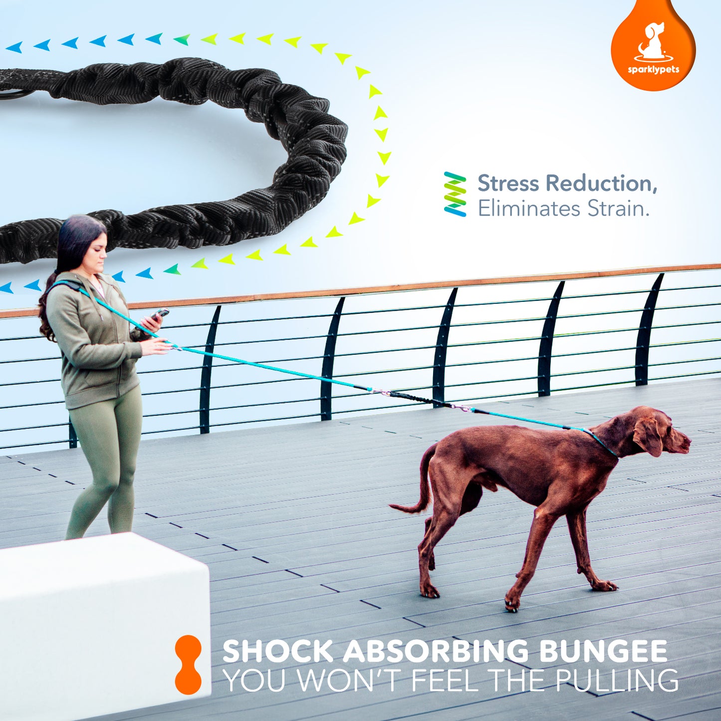 Multifunction Rope Leash