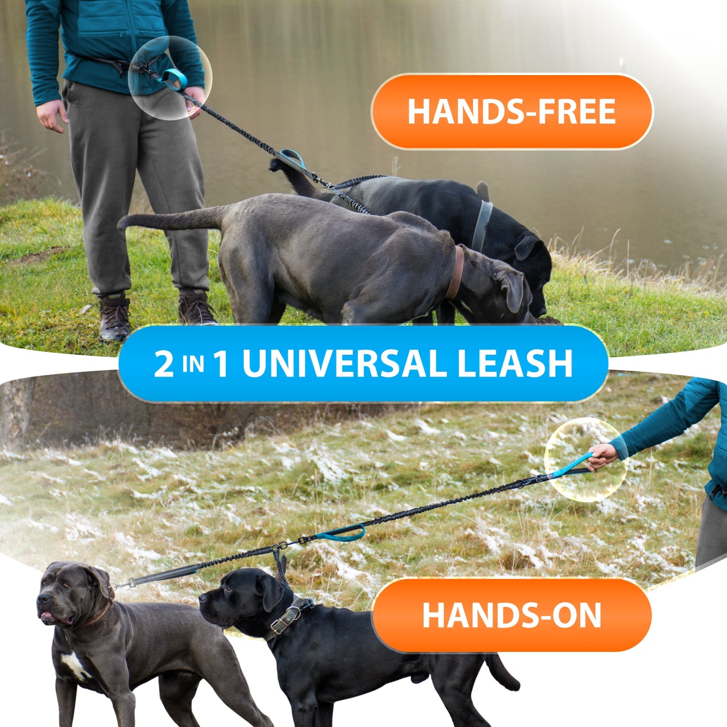 Hands Free Double Dog Leash – SparklyPets