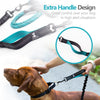 Rope Leash with Extension Bungee