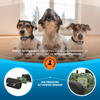 Humane Dog Bark Collar - 2 Pack (Battery Version)