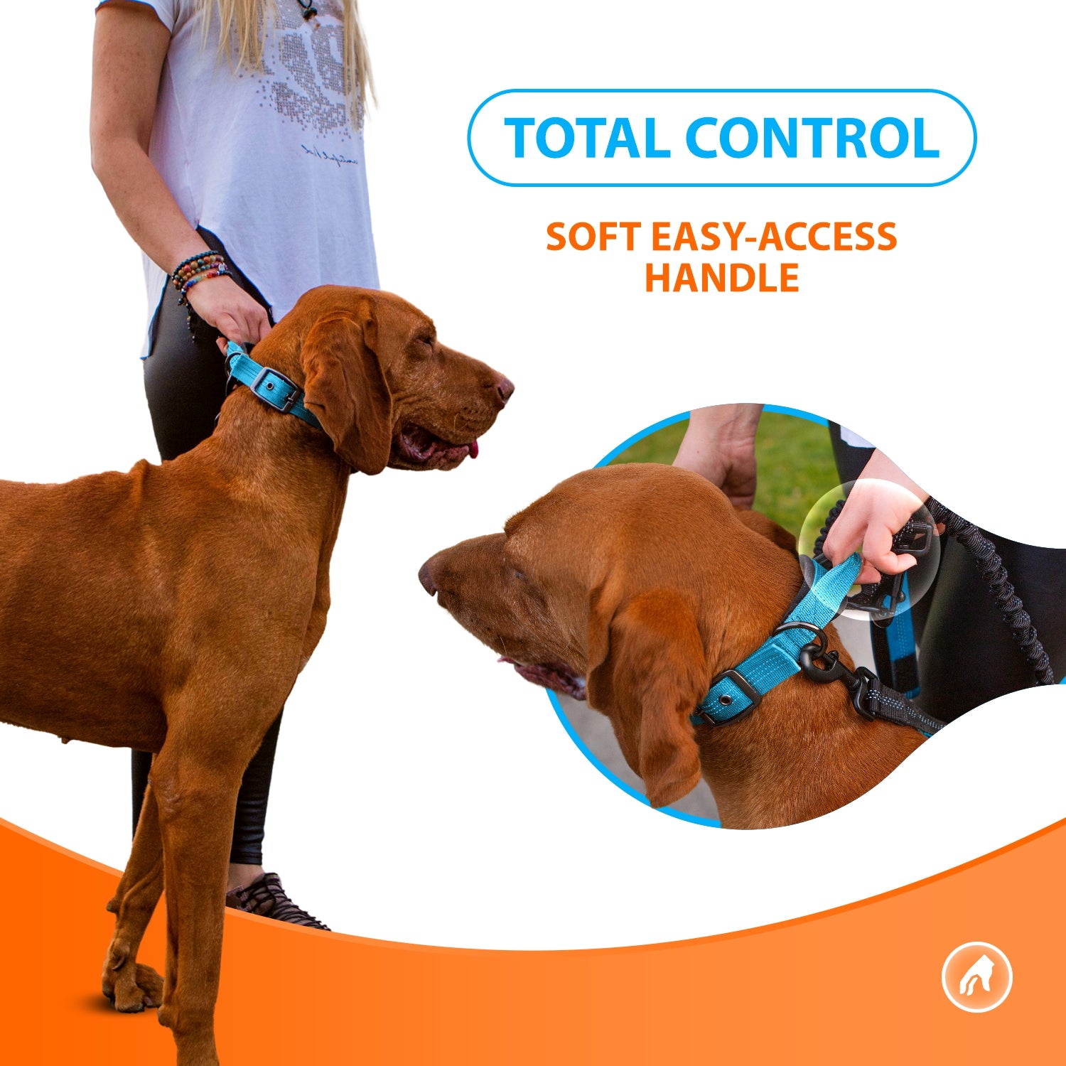 Best heavy shop duty dog collar