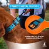 Heavy Duty Dog Collar with Handle