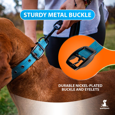 Heavy Duty Dog Collar with Handle