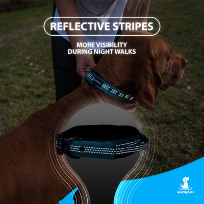 Heavy Duty Dog Collar with Handle