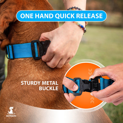 Bungee Wide Dog Collar with Handle
