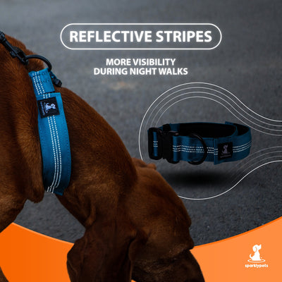 Bungee Wide Dog Collar with Handle